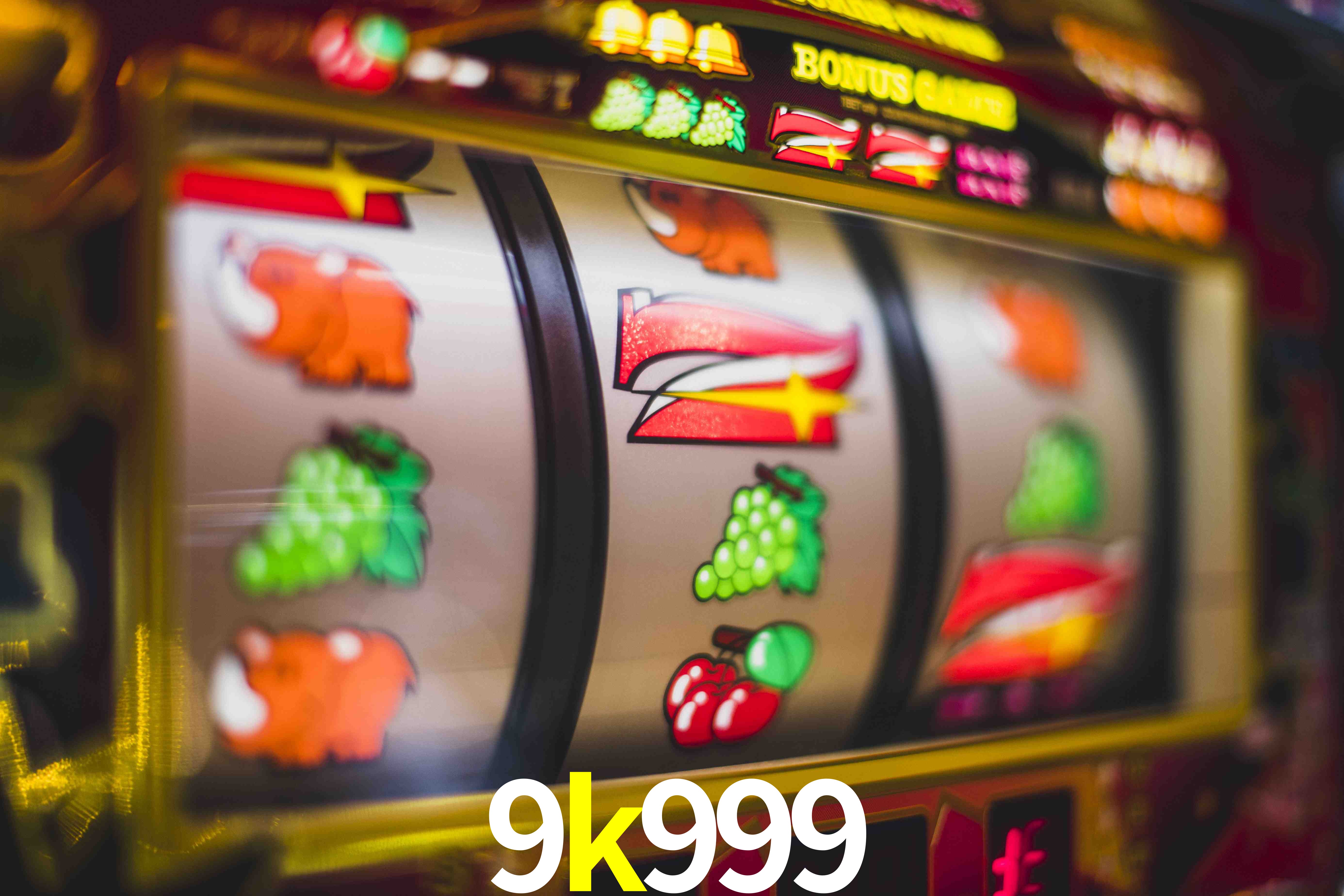 Sports Statistics 9k999